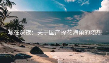 写在深夜：关于国产探花海角的随想