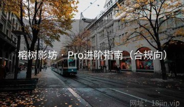 榕树影坊 · Pro进阶指南（合规向）