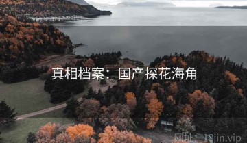 真相档案：国产探花海角