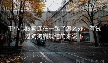 不小心跟狗连在一起了怎么办，有试过狗狗蝴蝶结的来说下