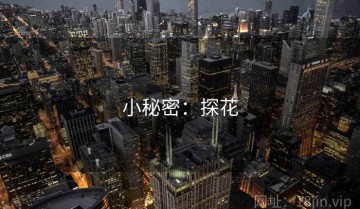 小秘密：探花