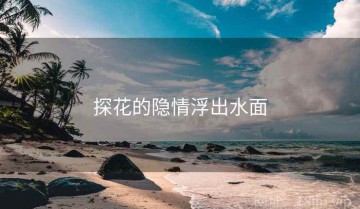 探花的隐情浮出水面