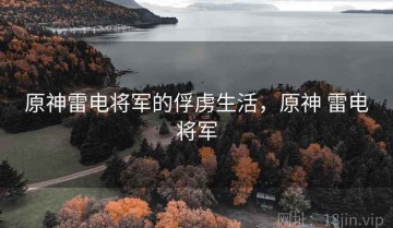 原神雷电将军的俘虏生活，原神 雷电将军
