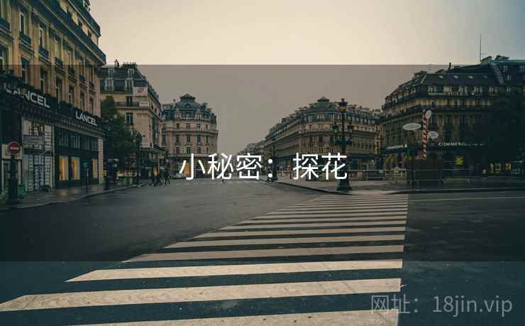 小秘密：探花