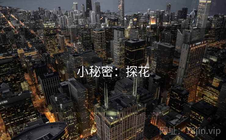 小秘密：探花