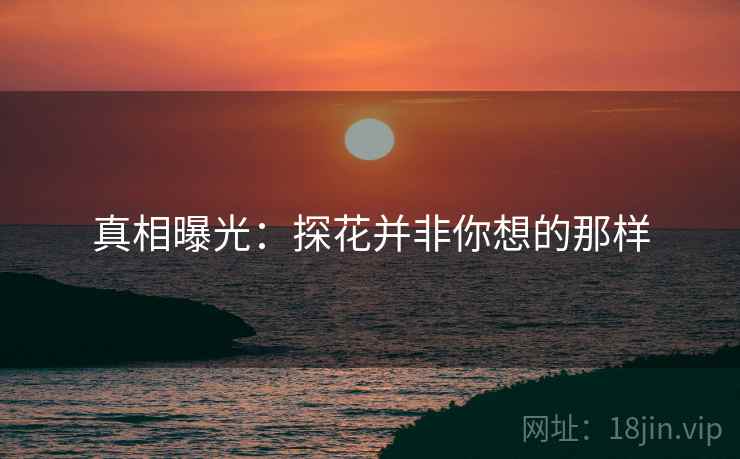 真相曝光：探花并非你想的那样