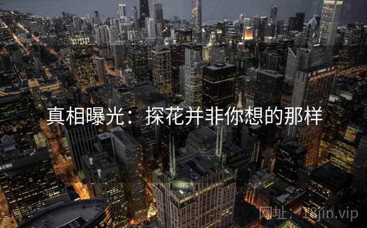 真相曝光：探花并非你想的那样