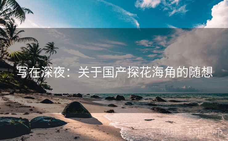 写在深夜：关于国产探花海角的随想