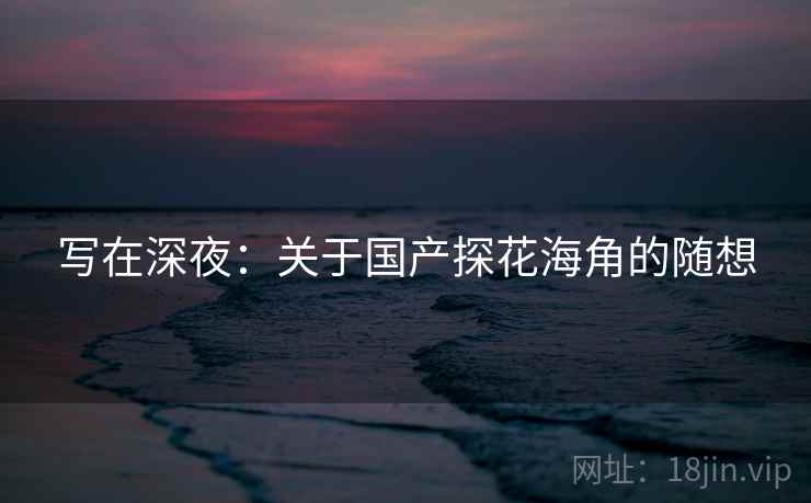 写在深夜：关于国产探花海角的随想