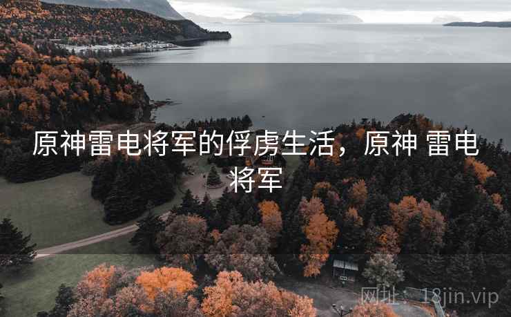 原神雷电将军的俘虏生活，原神 雷电将军