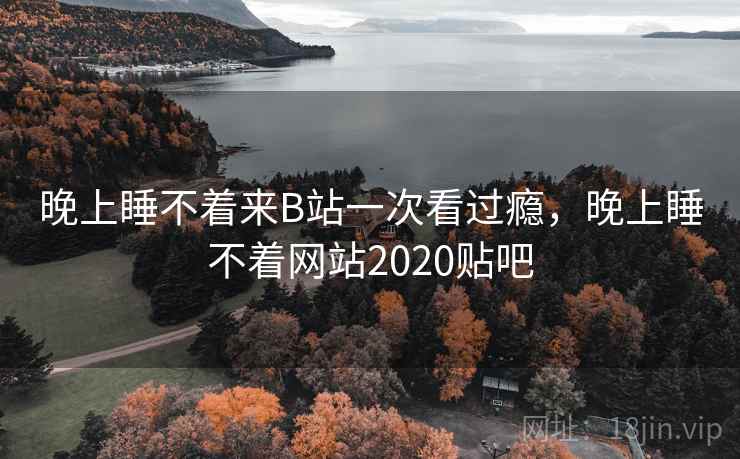 晚上睡不着来B站一次看过瘾，晚上睡不着网站2020贴吧